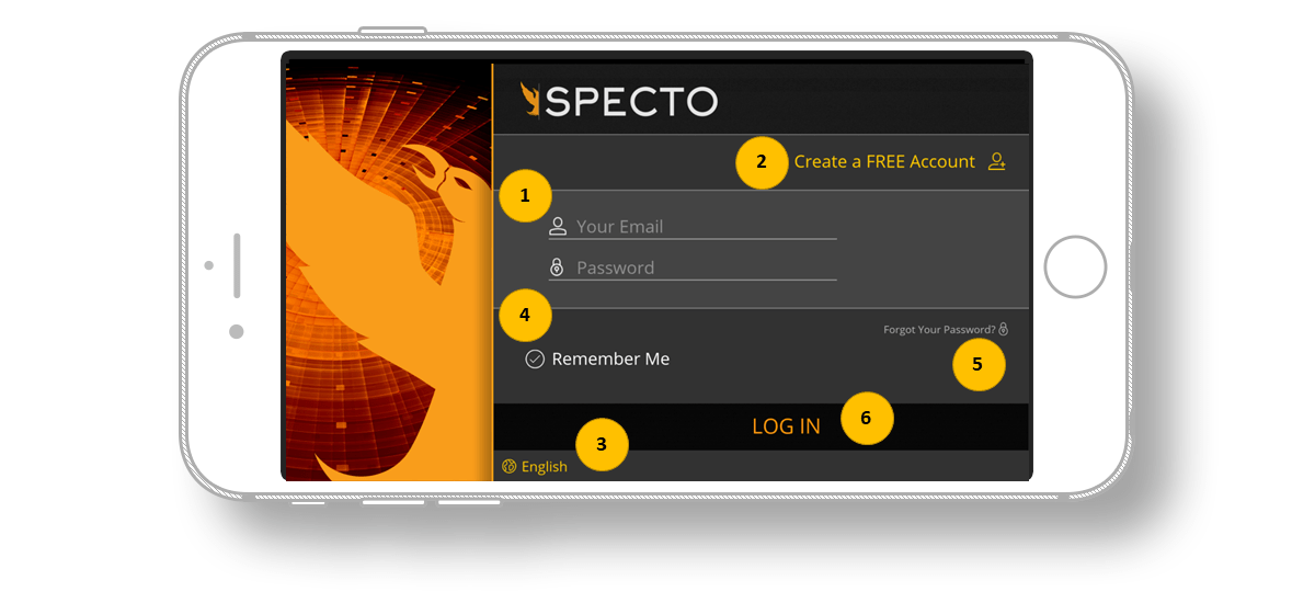 Specto - kuidas alustada